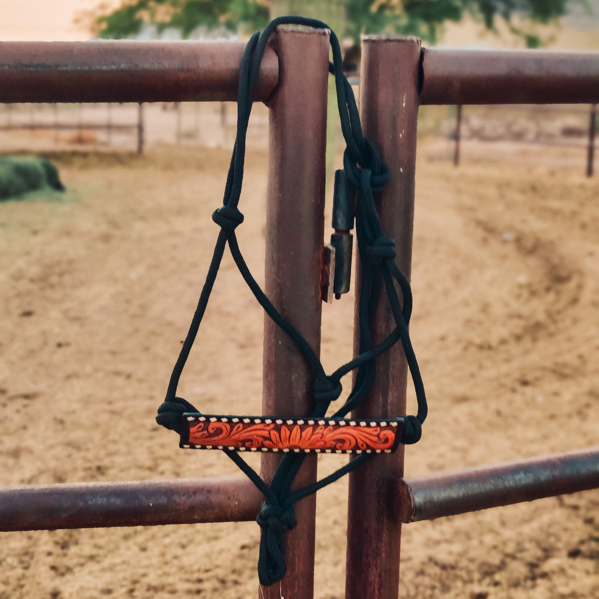Rafter T Ranch Co. Sunflower Rope Halter with White Buckstitch main image 0
