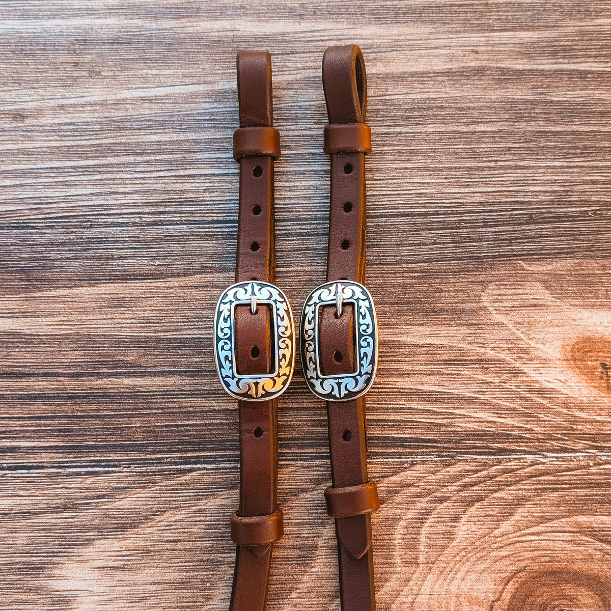 Close up of rein buckle ends