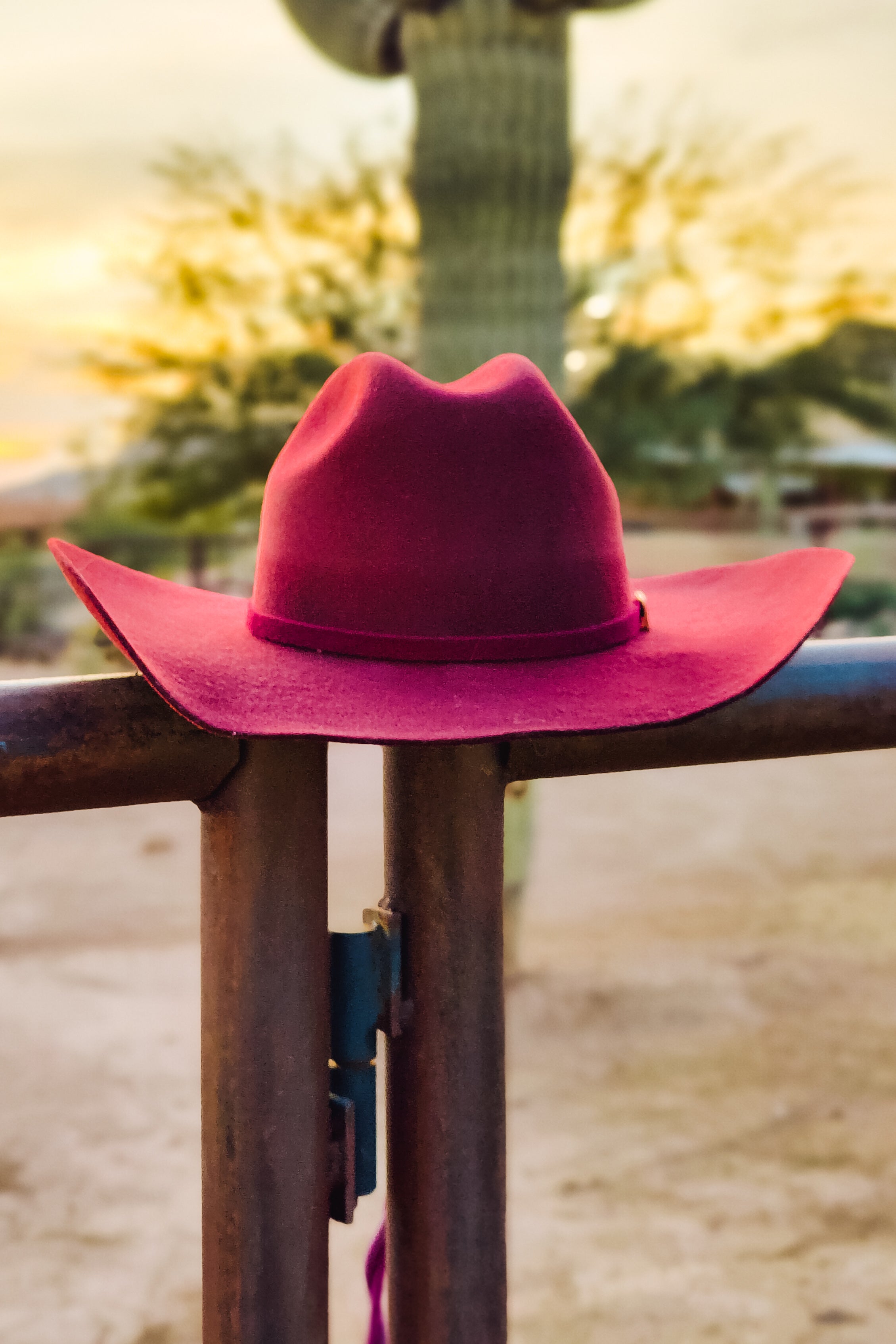Rodeo Royalty 4x Felt - Wine - The Glamorous Cowgirl