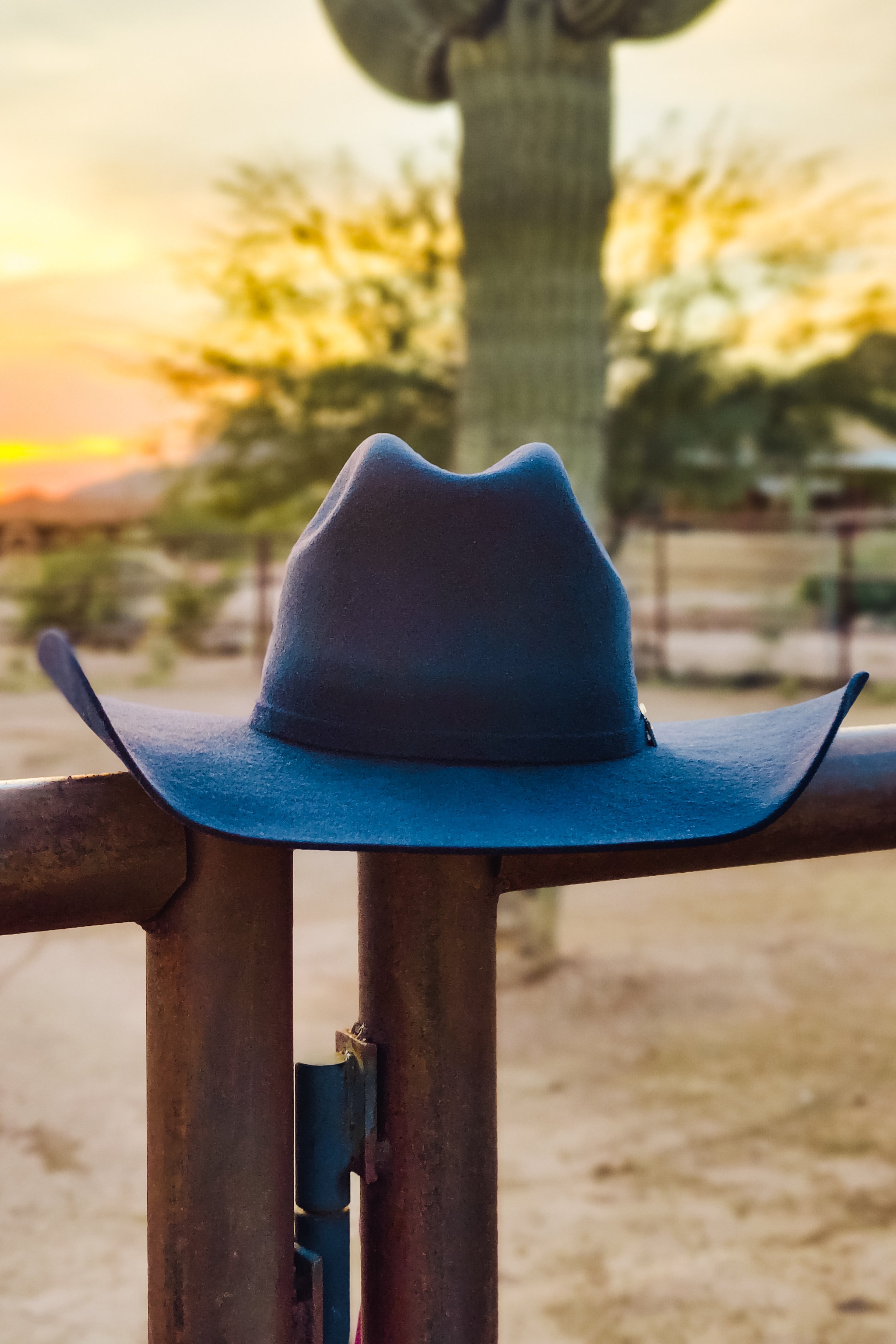Rodeo Royalty 4x Felt - Navy - The Glamorous Cowgirl