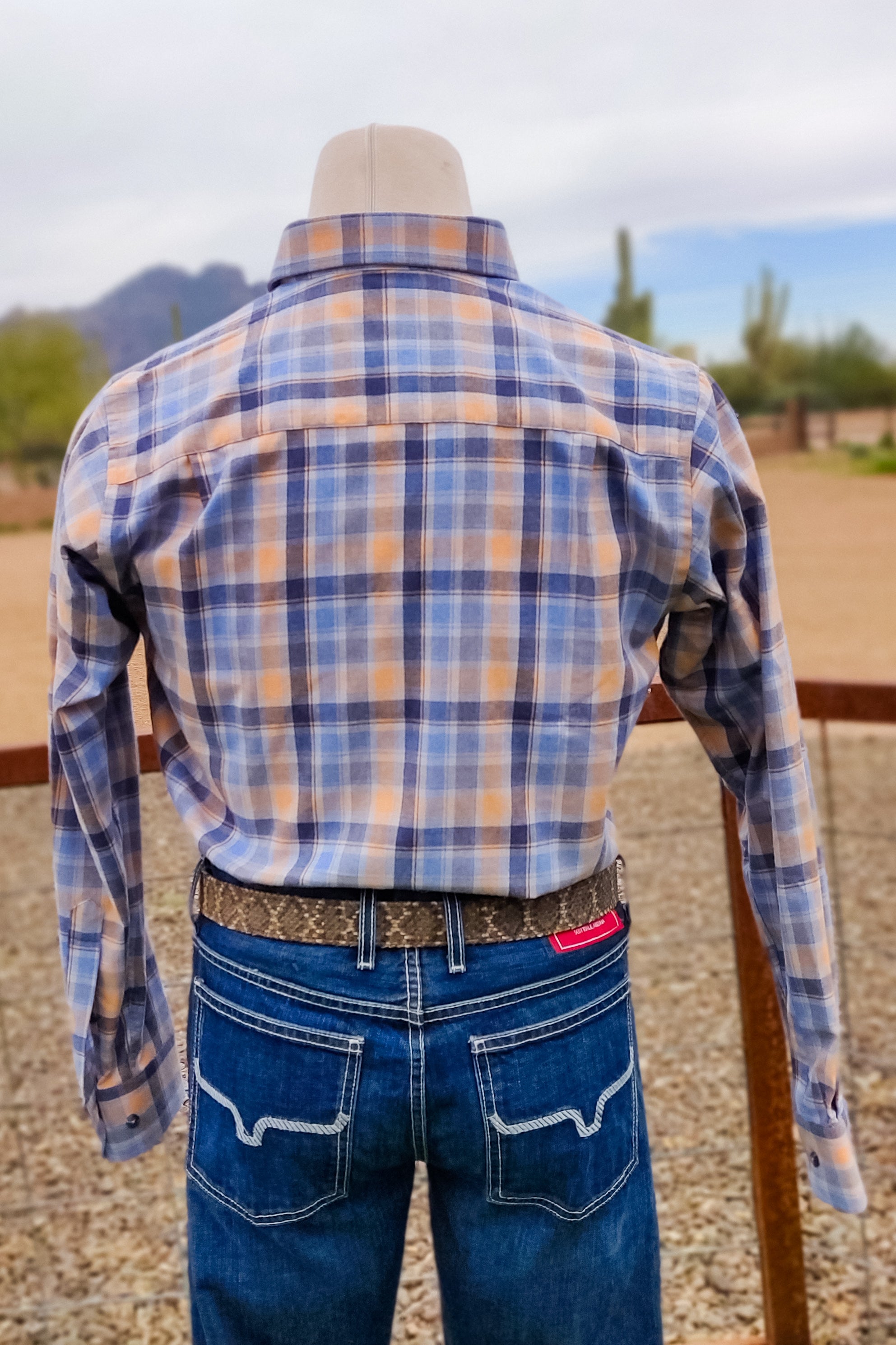 Blue Branch Brushed Cotton Button Down - The Glamorous Cowgirl