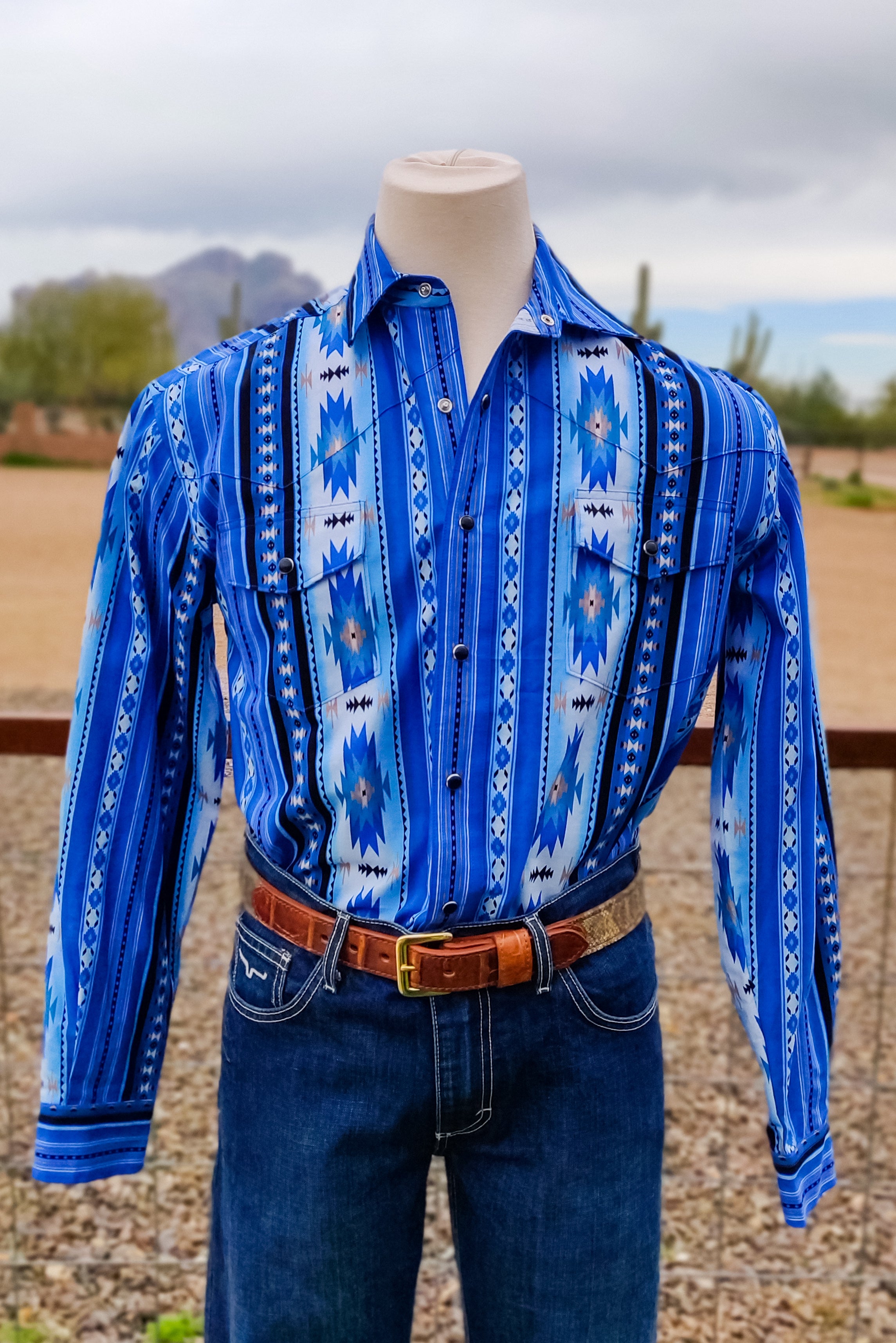 Arctic Button Down by Western Wits - The Glamorous Cowgirl