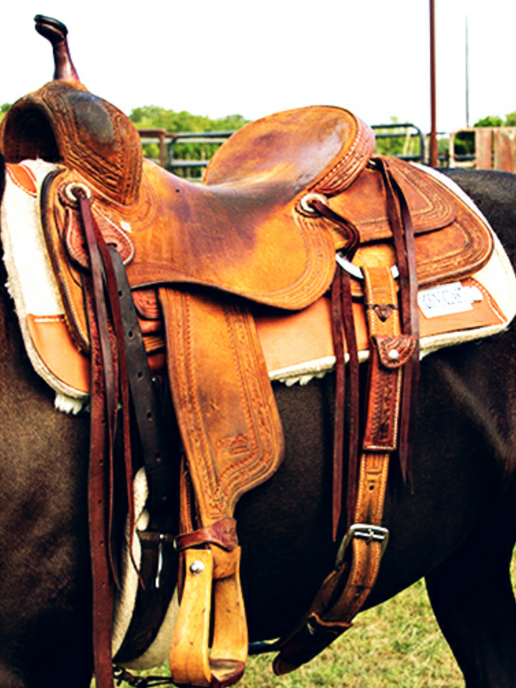 Hair On Hide Iconoclast Saddle Pad - The Glamorous Cowgirl