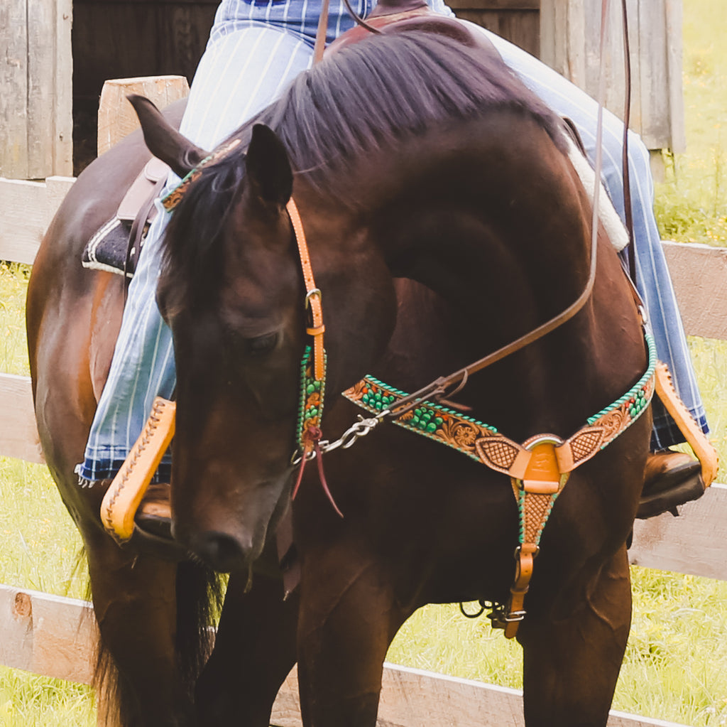 Mens Tack from The Gritty Cowboy | TGC Brands