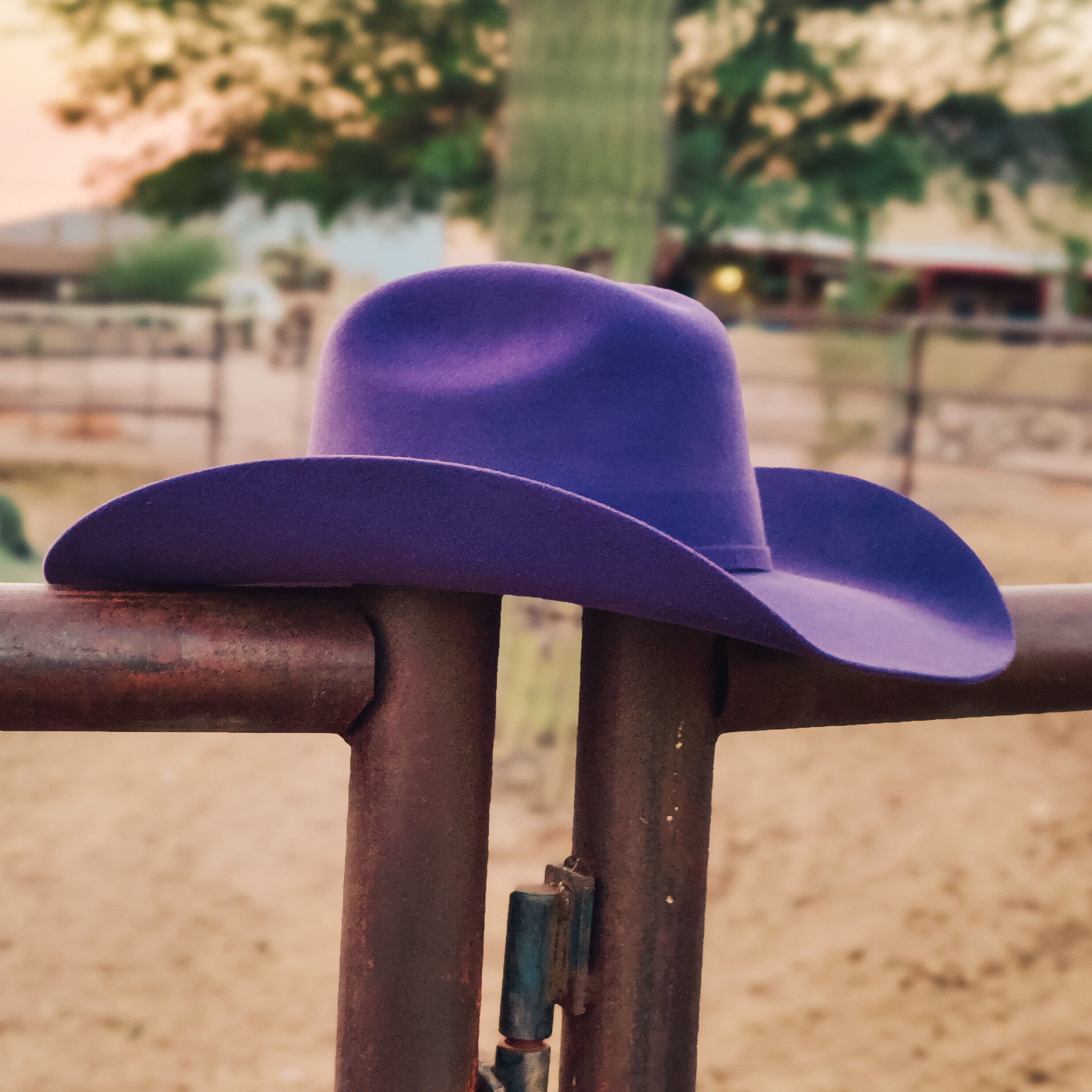 Rodeo Royalty 4x Felt in Royal Purple – TGC Brands