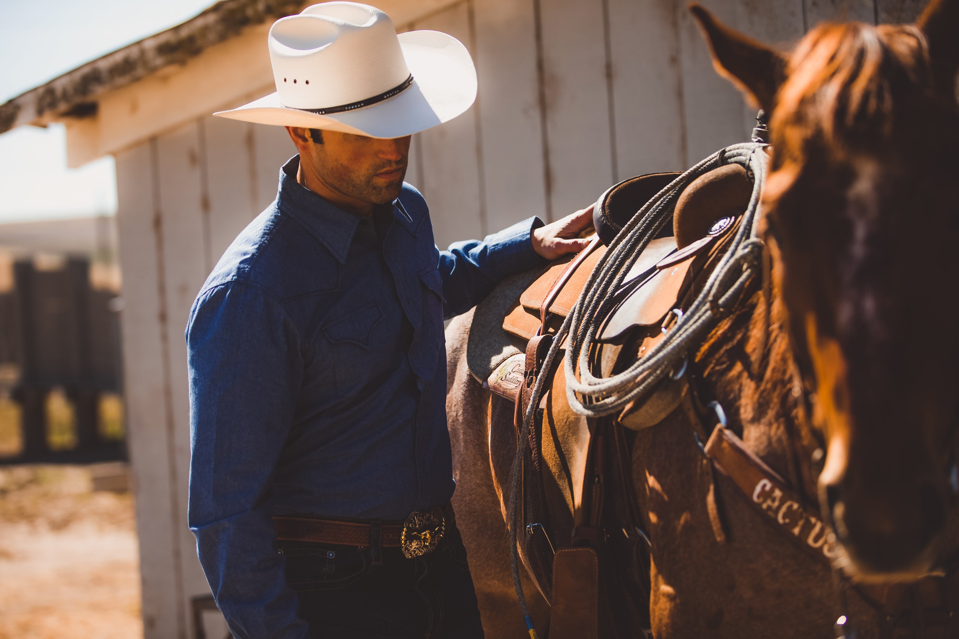 Essentials for the Western Lifestyle | TGC Brands