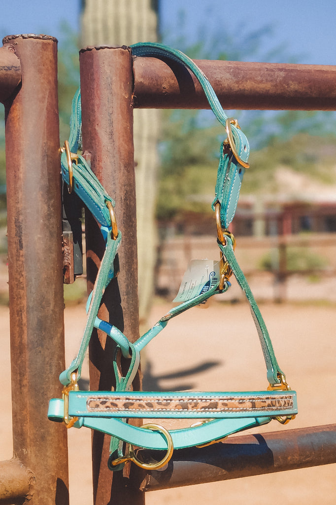 Turquoise Cheetah Leather Halter - The Glamorous Cowgirl