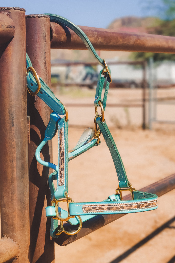 Turquoise Cheetah Leather Halter - The Glamorous Cowgirl