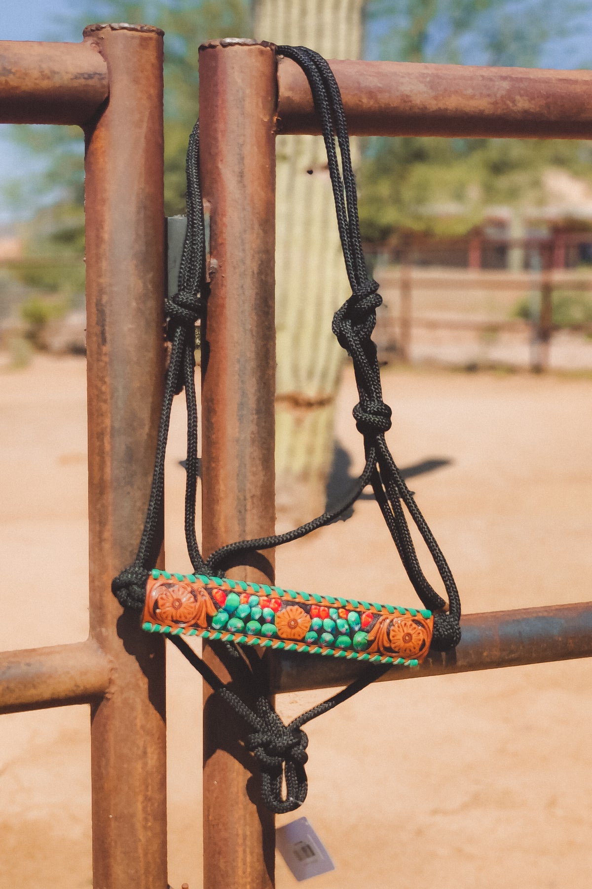 Cactus Training Ropes Cactus Rope Halter – TGC Brands