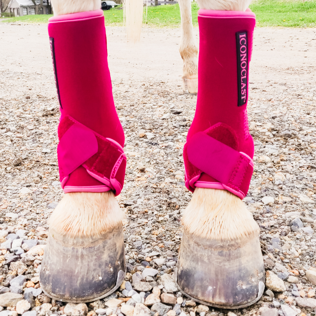 Iconoclast 2025 horse boots