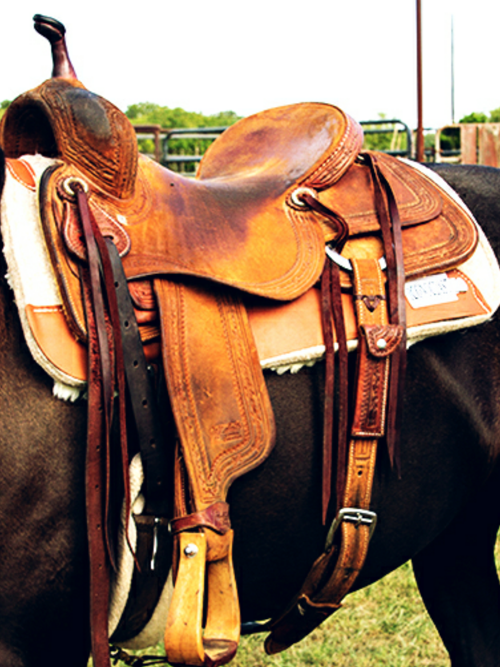 Tooled Iconoclast Saddle Pad - The Glamorous Cowgirl