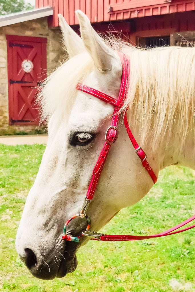 Pink Leather Quick Change Working Headstall - The Glamorous Cowgirl