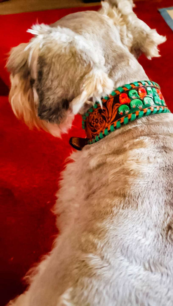 Rafter T Tooled Dog Collar - Cactus - The Glamorous Cowgirl