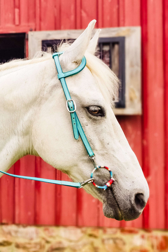 Turquoise Leather Quick Change Working Headstall - The Glamorous Cowgirl